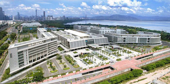 草莓色视频工程案例之香港大学深圳医院
